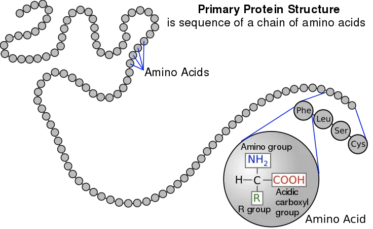 BERT Meets the Protein 3D Structure