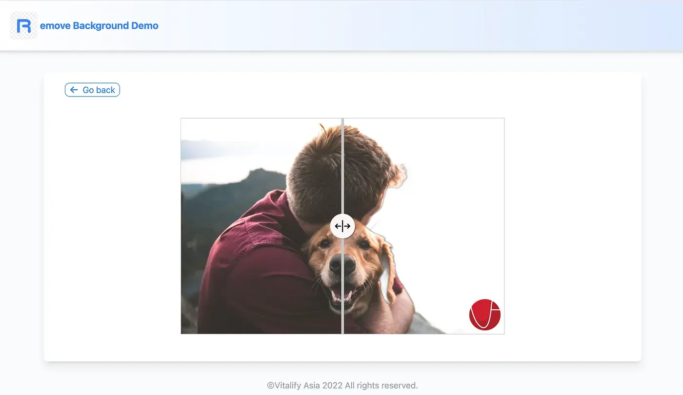 What is Background Removal using DIS?