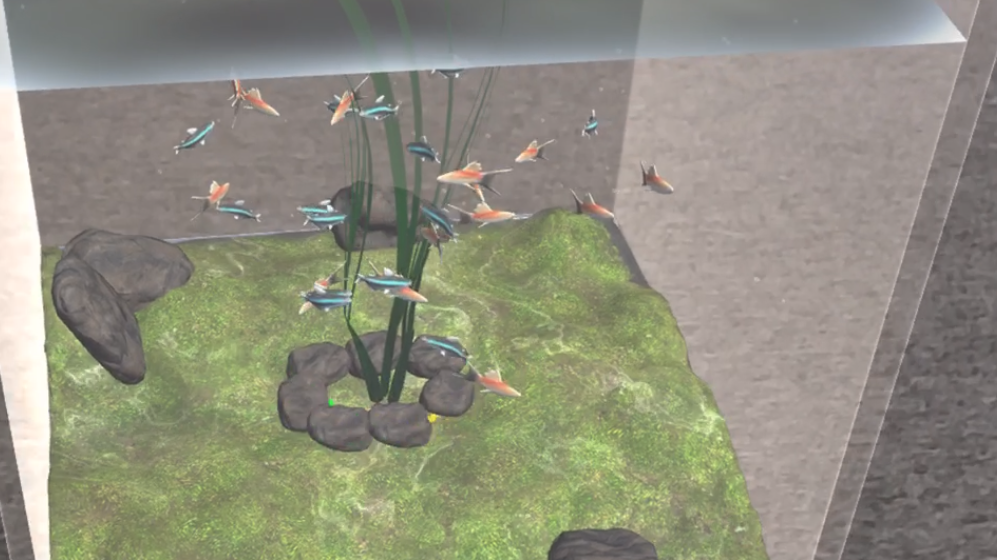 Virtual Aquarium using Next-Gen AR & VPS